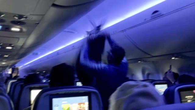 PALOMAS EN AVION