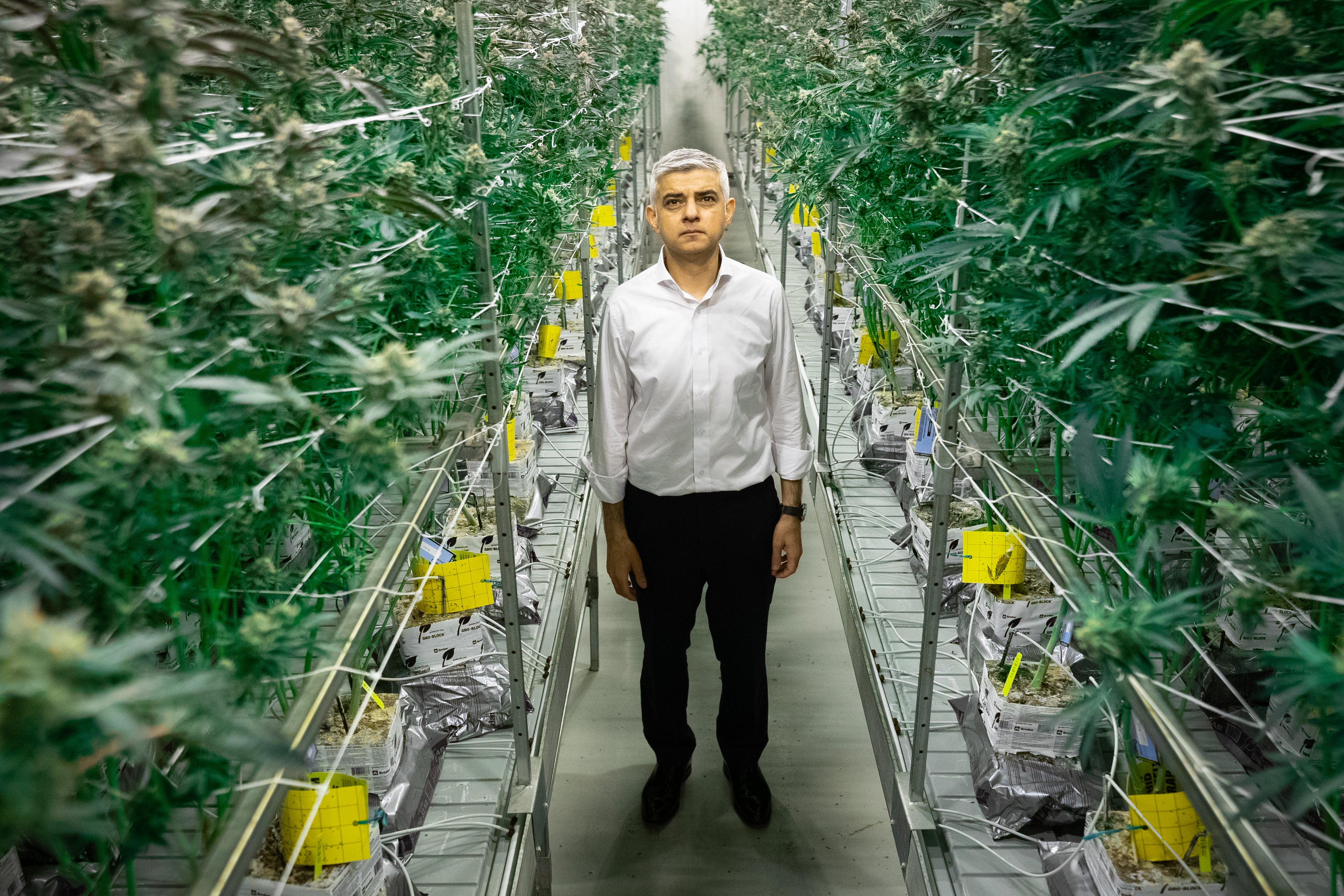 The Mayor of London said a report by the independent London Drugs Commission (LDC) published on Wednesday had provided “a compelling, evidence-based case” for decriminalisation and urged the Government to consider the move