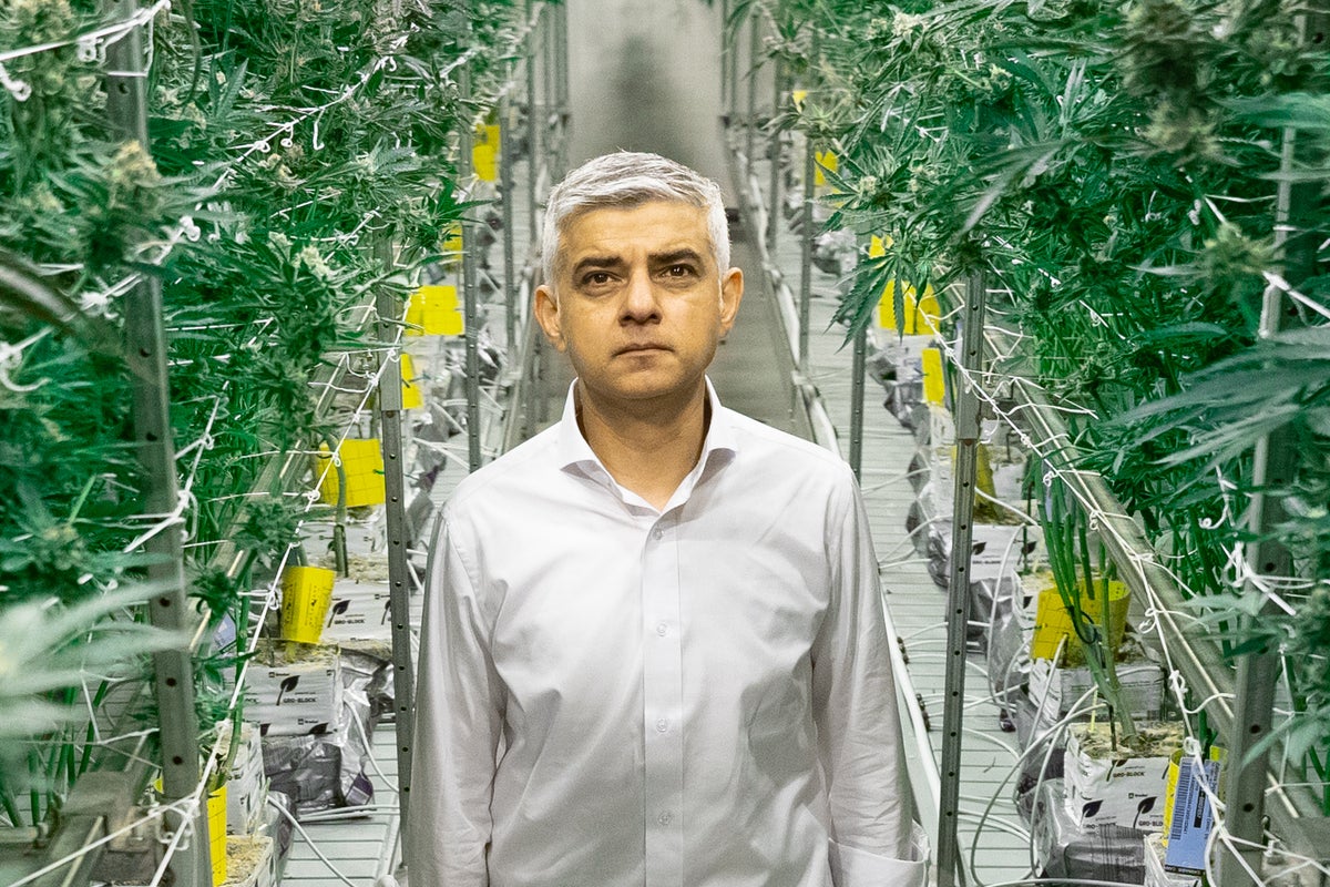 Voices: What is Sadiq Khan really up to with his call to decriminalise cannabis? Voices: What is Sadiq Khan really up to with his call to decriminalise cannabis?