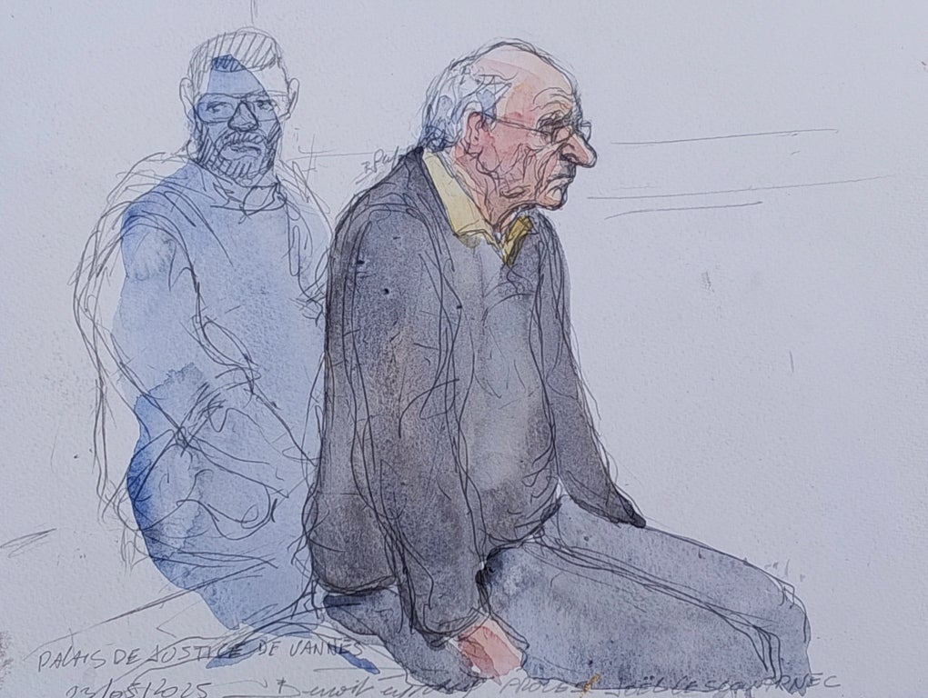 Le Scouarnec may face a further trial