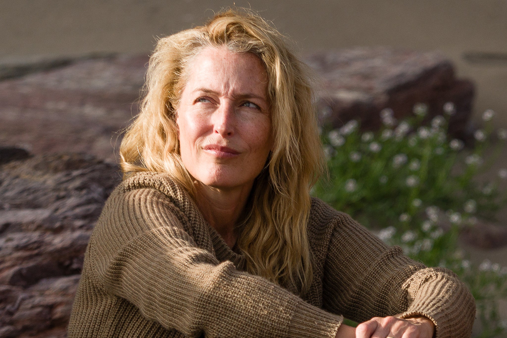 <p>Gillian Anderson in ‘The Salt Path’</p>