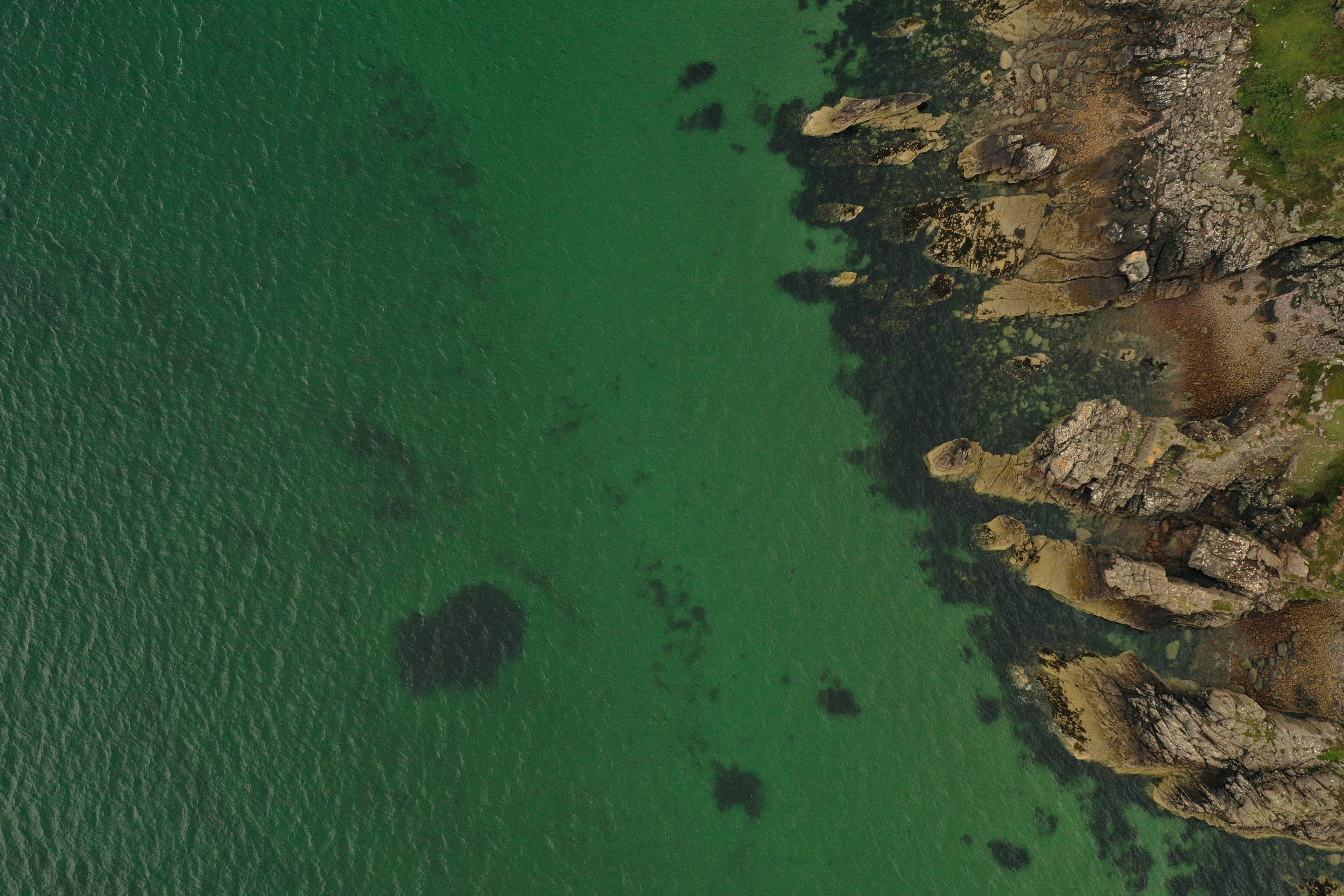 Marine charity Open Seas has published a new report on the state of Scotland’s seabeds, based on more than 300 surveys that were carried out (Open Seas/PA)