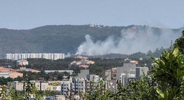 South Korea Plane Crash