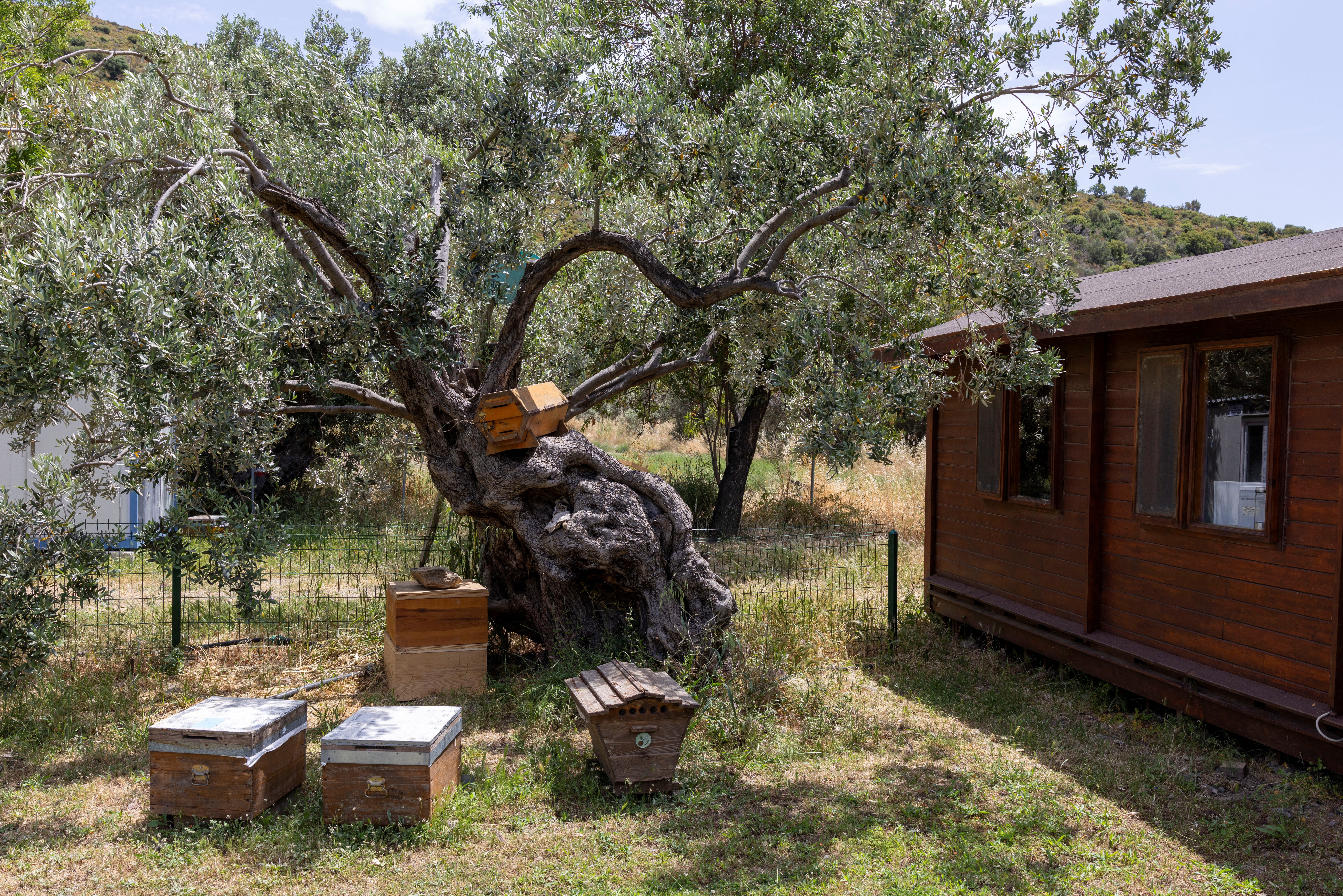 Hives owned by beekeeper Huseyin Ceylan, who runs a facility for therapy using air from beehives