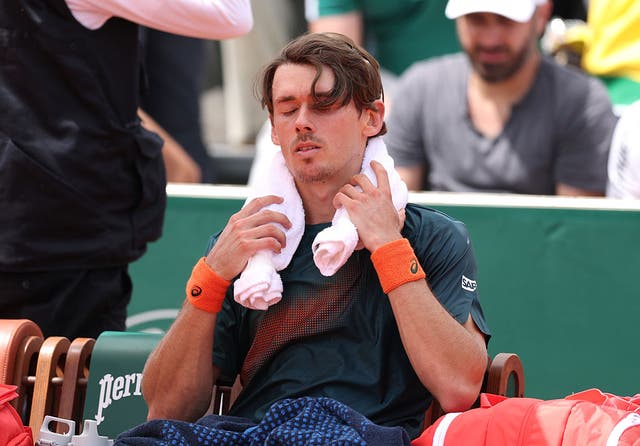 <p>Alex de Minaur lost from two sets up</p>