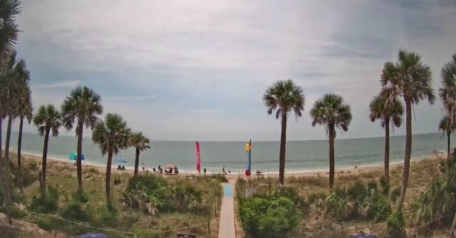 <p>Tourists have found 200-year-old human remains at a South Carolina beachfront property</p>