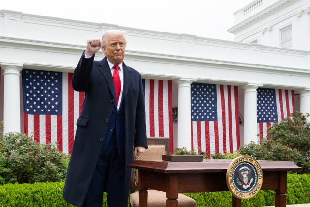 <p>A federal appeals court has temporarily reinstated Donald Trump's tariff agenda</p>