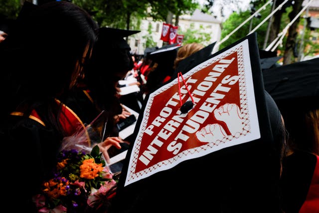 <p>A graduating Harvard student</p>
