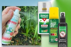 10 best mosquito repellents to keep bites at bay while home or away