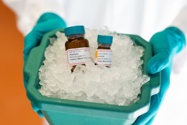 <p>Combination of rapamycin and trametinib extends mouse lifespan</p>