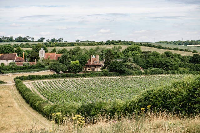 The Silverhand Estate is gaining protection (Silverhand Estate/PA)