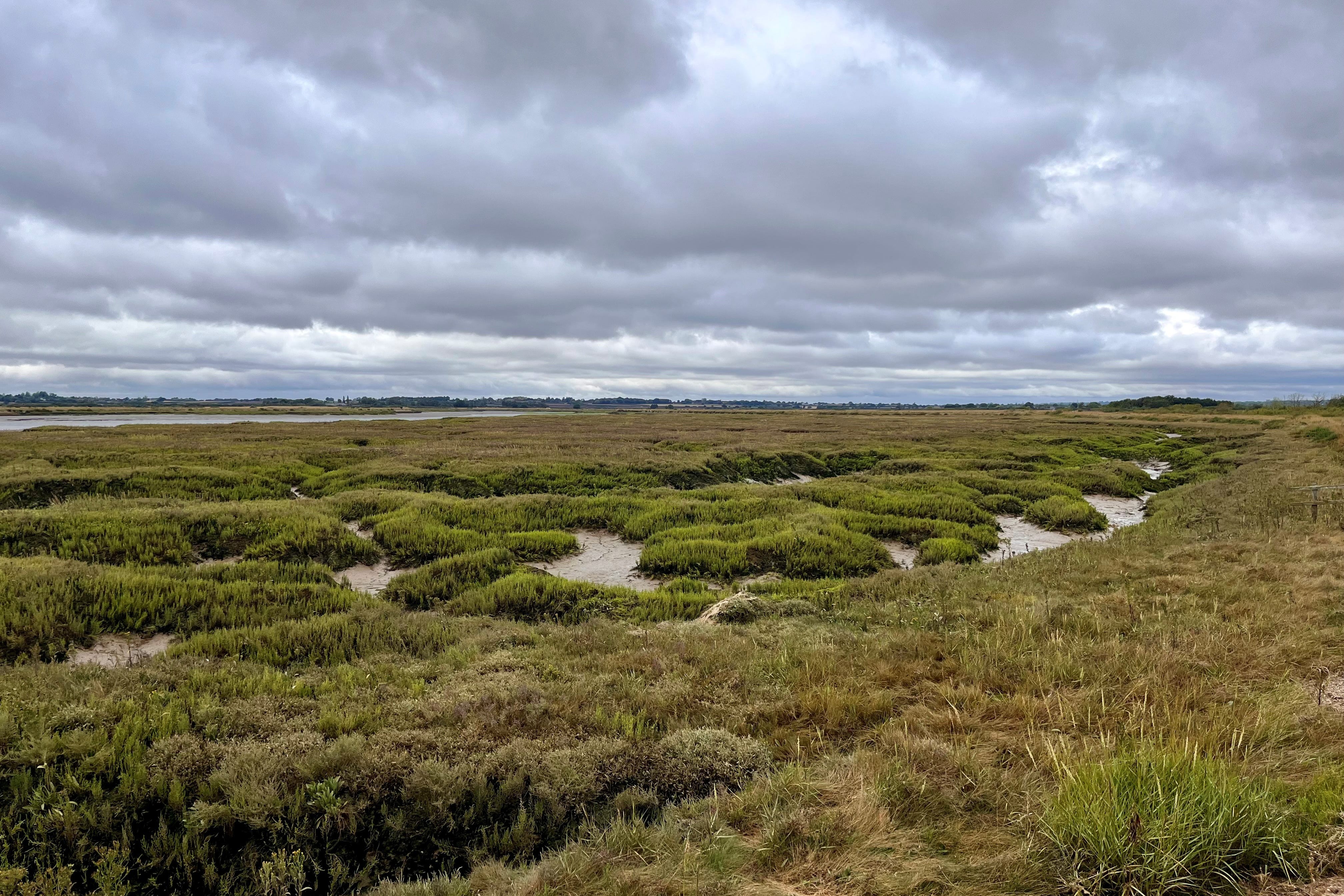 Saltmarshes are a significant carbon store, a report says (Emily Beament/PA)