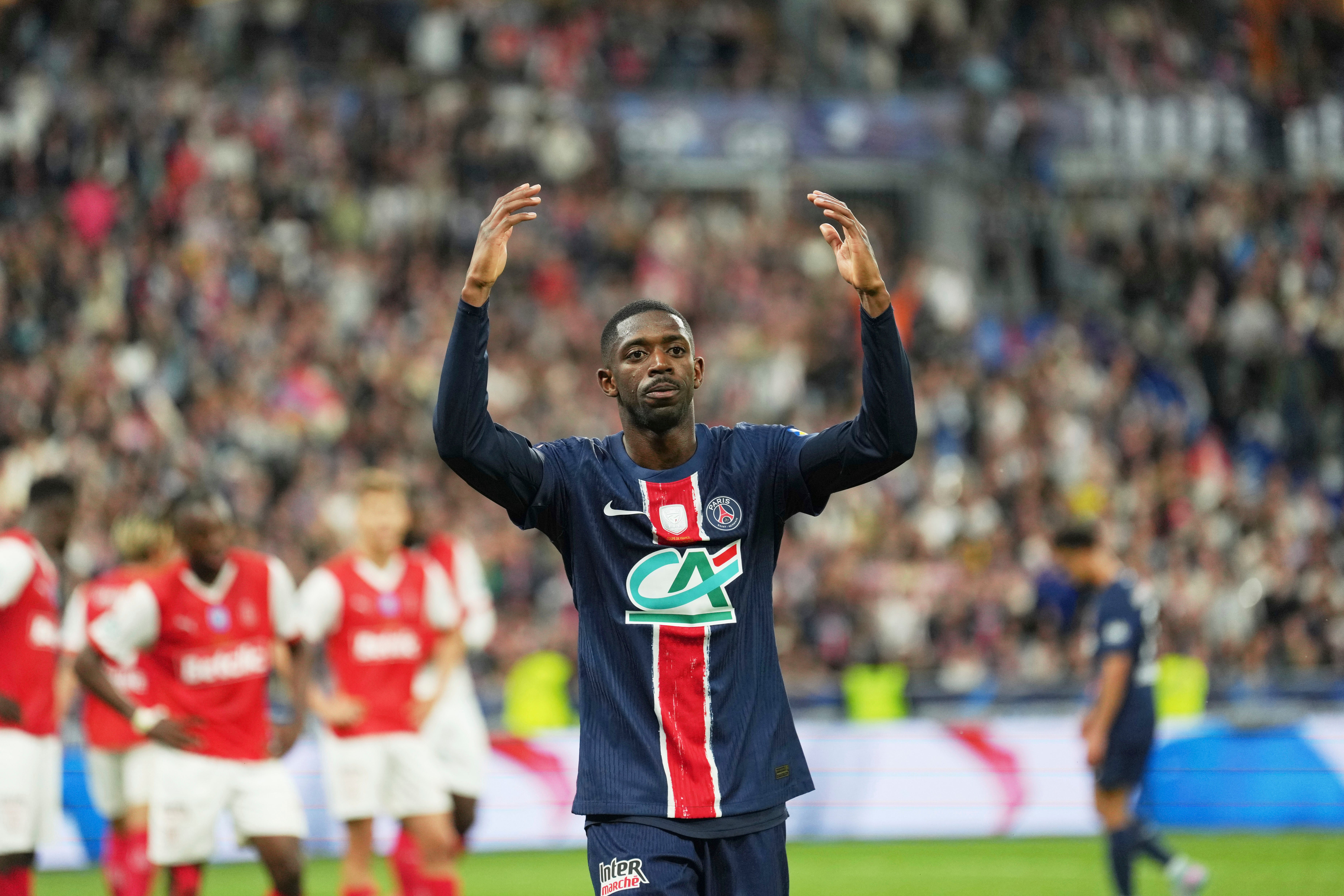 France Soccer French Cup Final