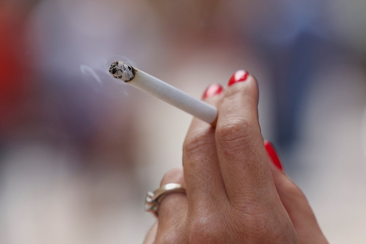 Lighting up on a French beach will cost more than £100 under national smoking  ban