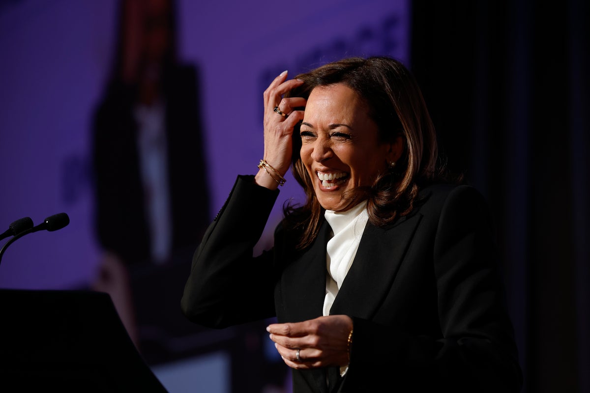 Kamala Harris plots her next political move after US election loss
