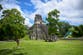 Nearly 3,000-year-old Mayan city with ‘remarkable’ architecture unearthed in Guatemala