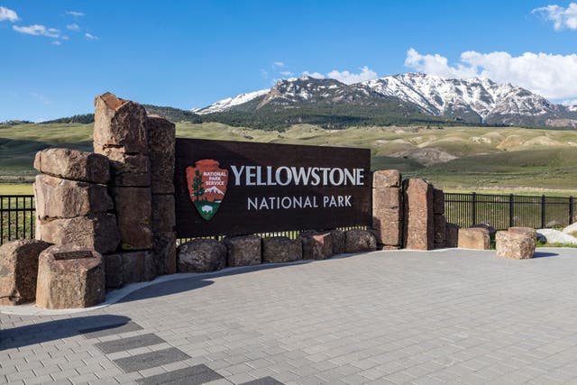 Yellowstone Fatal Crash Tour Group