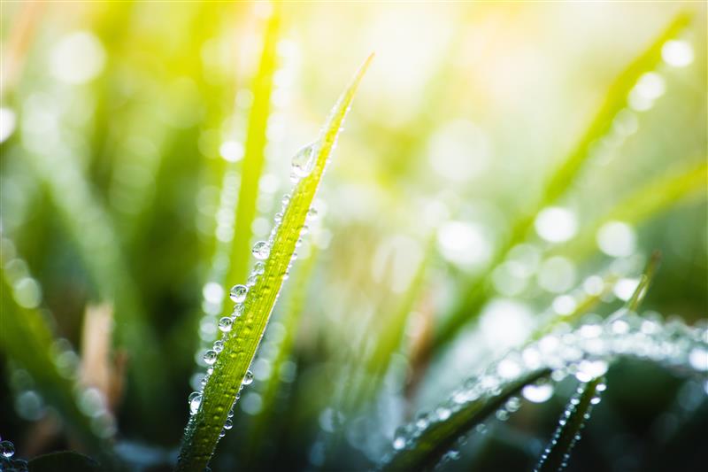 Sustainability omnibus package: What's changing and how can businesses get onboard?