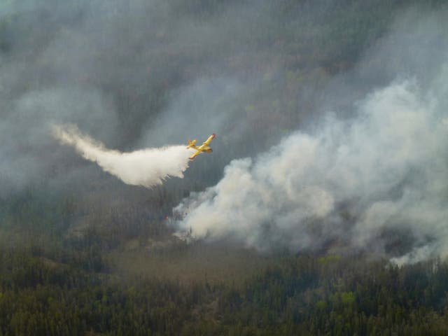 <p>Canada-Wildfires</p>