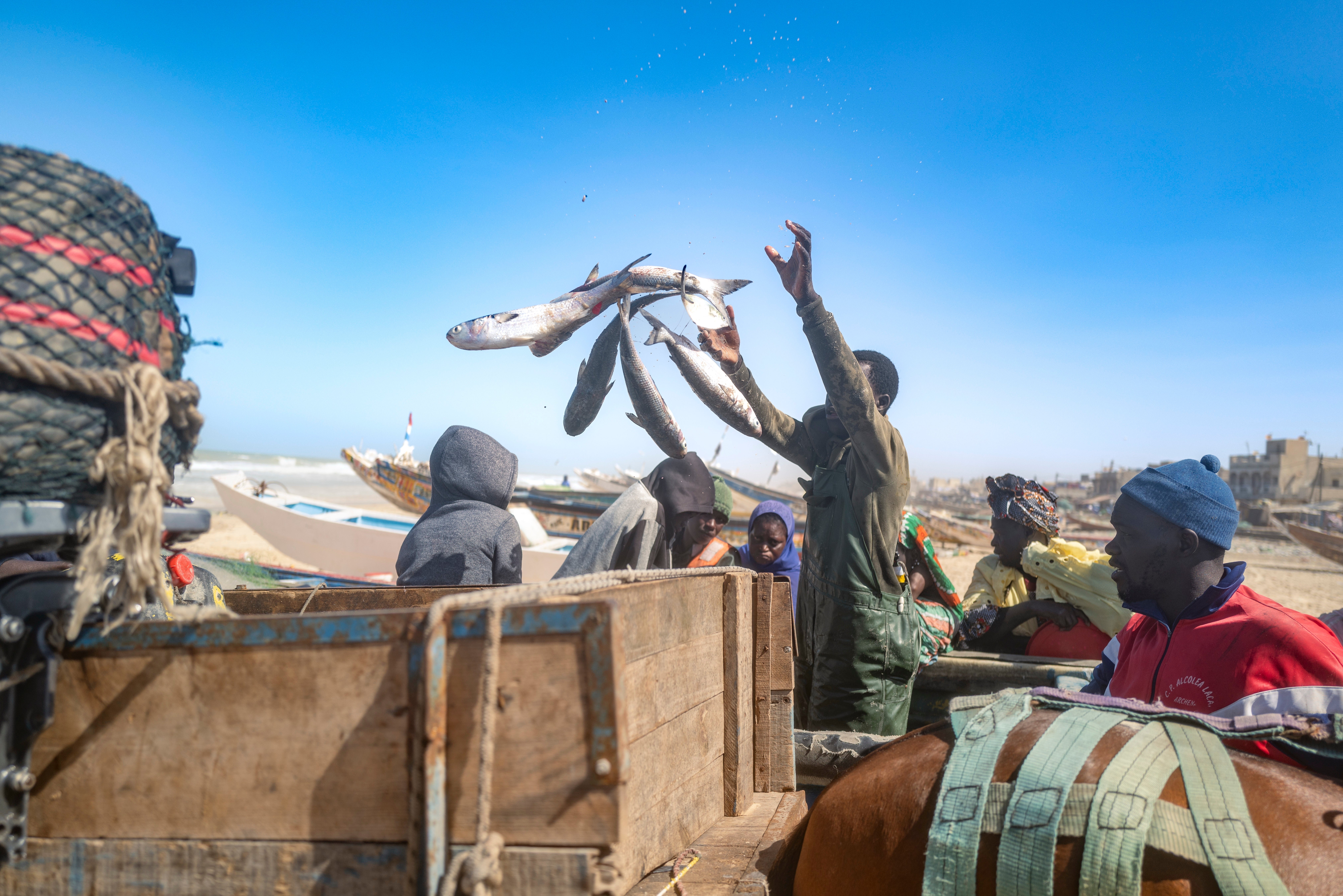 Senegal Fishing Natural Gas