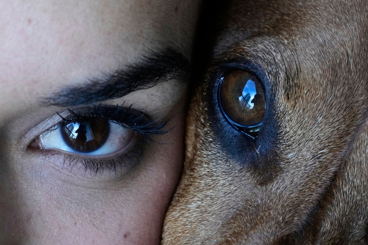 AP PHOTOS: A look at May's most compelling images from around the world