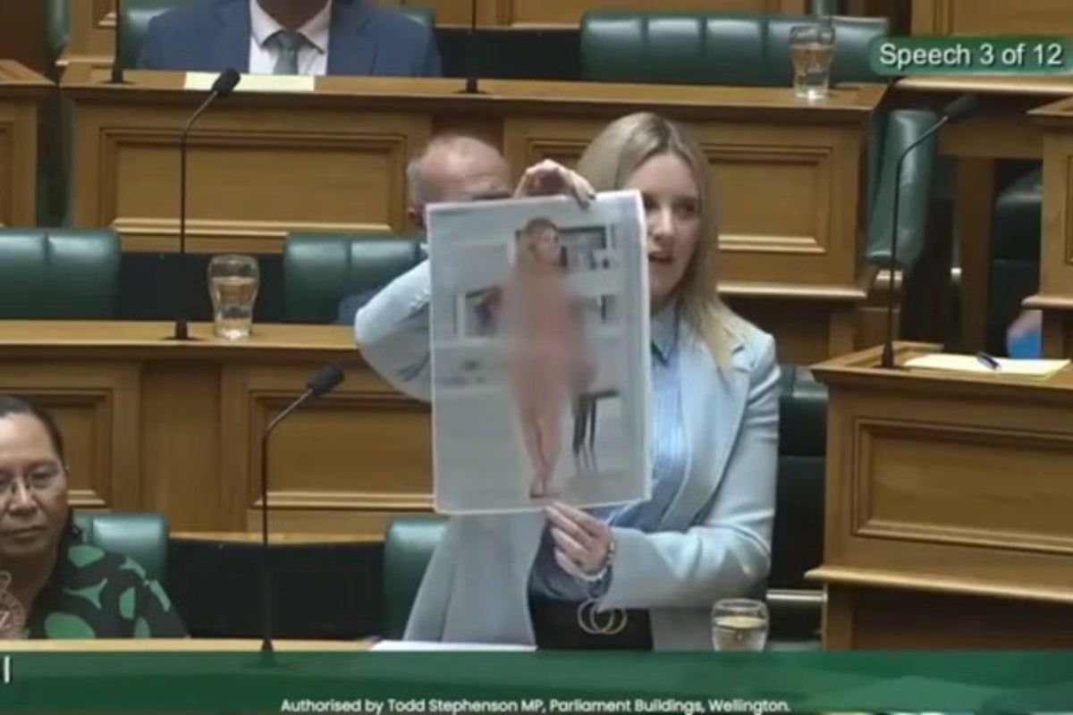 New Zealand MP holds up naked deepfake photo of herself in Parliament