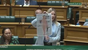 Brave MP holds up naked photo of herself in parliament after deepfake
