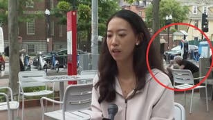 Brawling men interrupt Harvard student’s interview on global unity