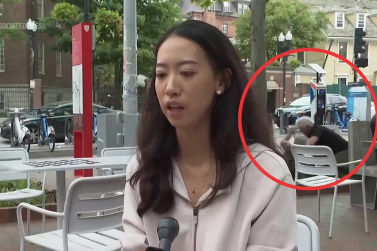 Fight breaks out behind Harvard student as she issues plea for global unity