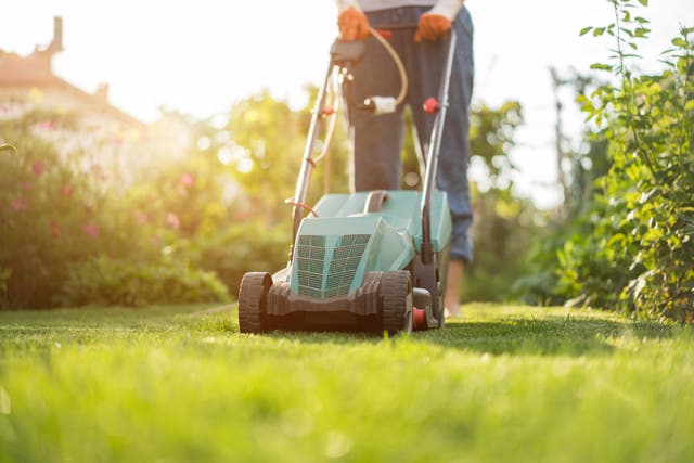 <p>TikTok creator Haley Orrock sparked controversy when she posted a video of her son riding on a lawn mower</p>
