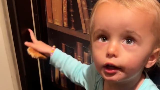 <p>Paris Hilton claims toddler is clairvoyant after 'seeing ghosts'</p>