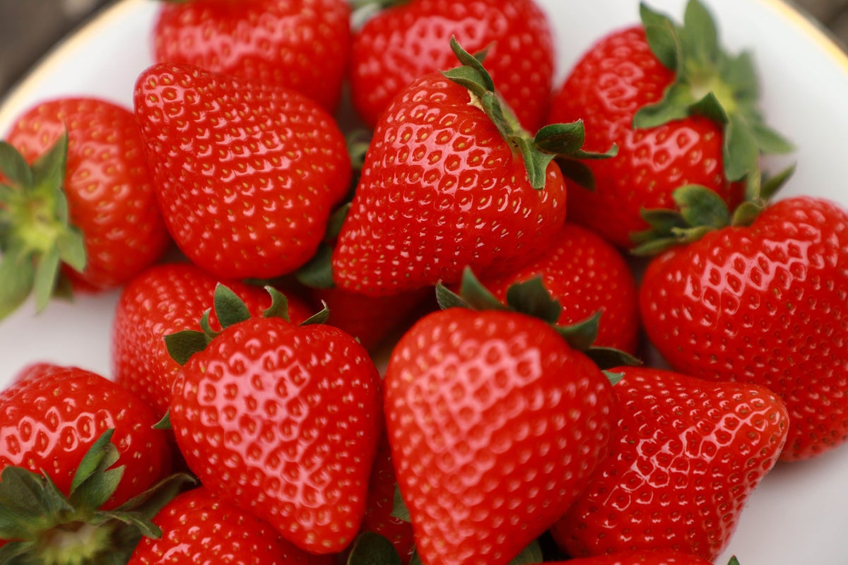 How to grow a bumper crop of strawberries to rival Wimbledon