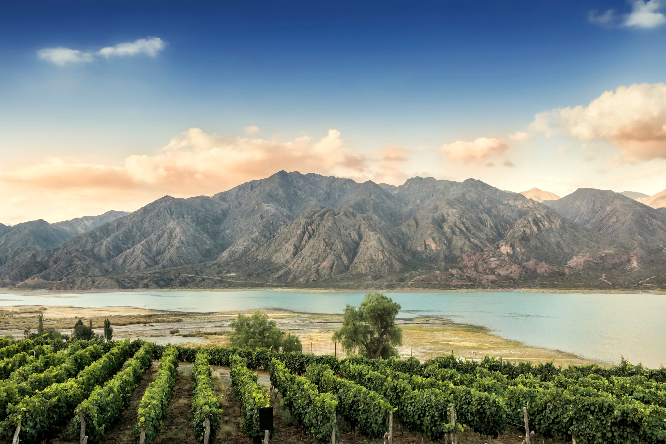Malbec lovers will enjoy a trip to one of Argentina’s top wine regions