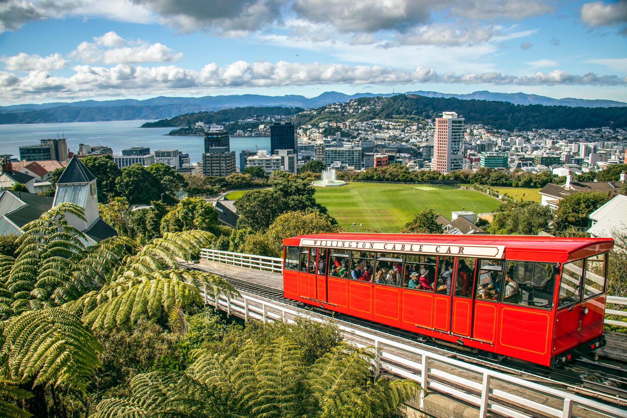 Wellington’s LGBT+ scene can be found everywhere, from stores to dive bars