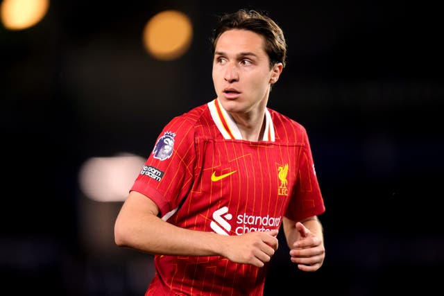 <p>Federico Chiesa signed for Liverpool last summer from Juventus</p>
