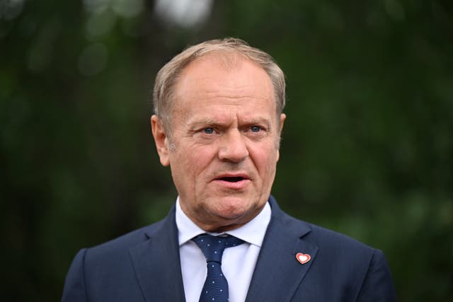 POLONIA-GOBIERNO