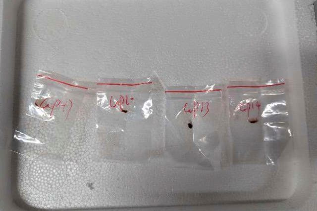 <p>US Dangerous Fungus</p>