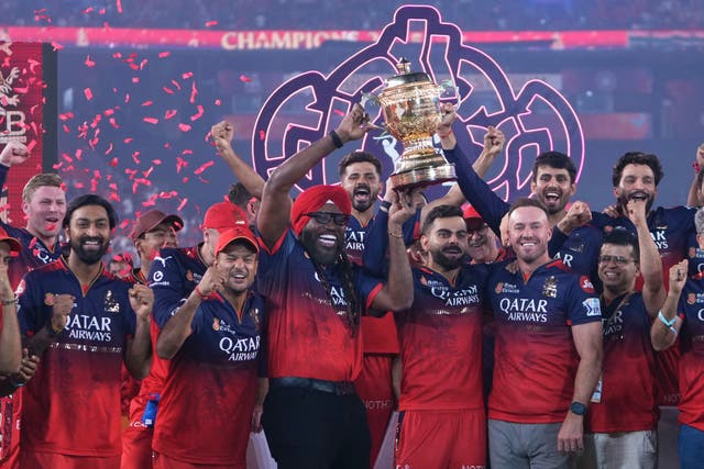 <p>India IPL Cricket</p>