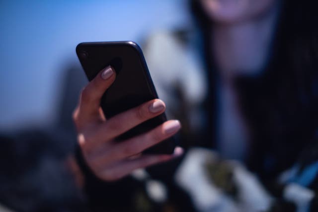 <p>The proposed ID card would be stored on a smartphone</p>