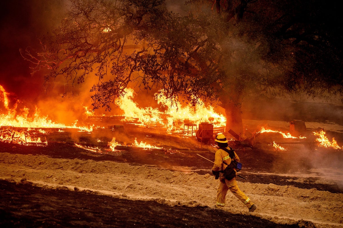 https://static.independent.co.uk/2025/06/04/14/California_Wildfires_Clean_Energy_90139.jpg?width=1200&height=800&crop=1200:800