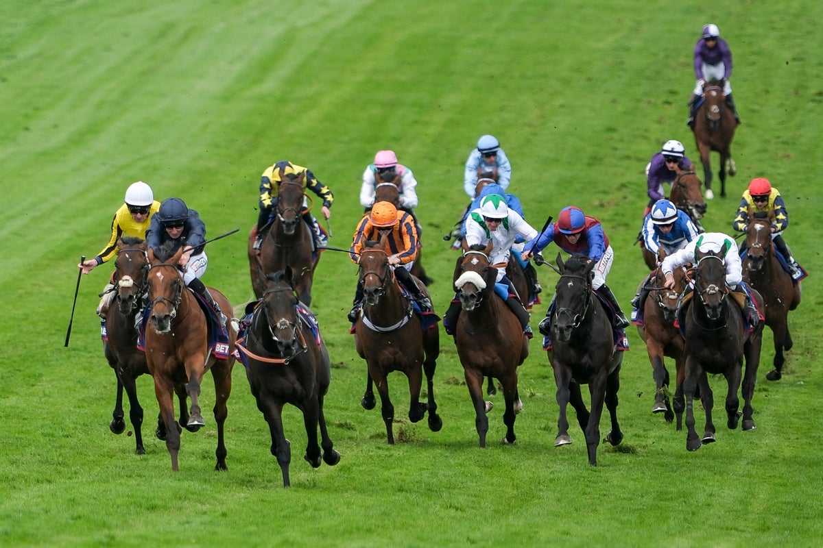 Epsom Derby odds: Find the latest odds for the Derby & Oaks Epsom Derby odds: Find the latest odds for the Derby & Oaks