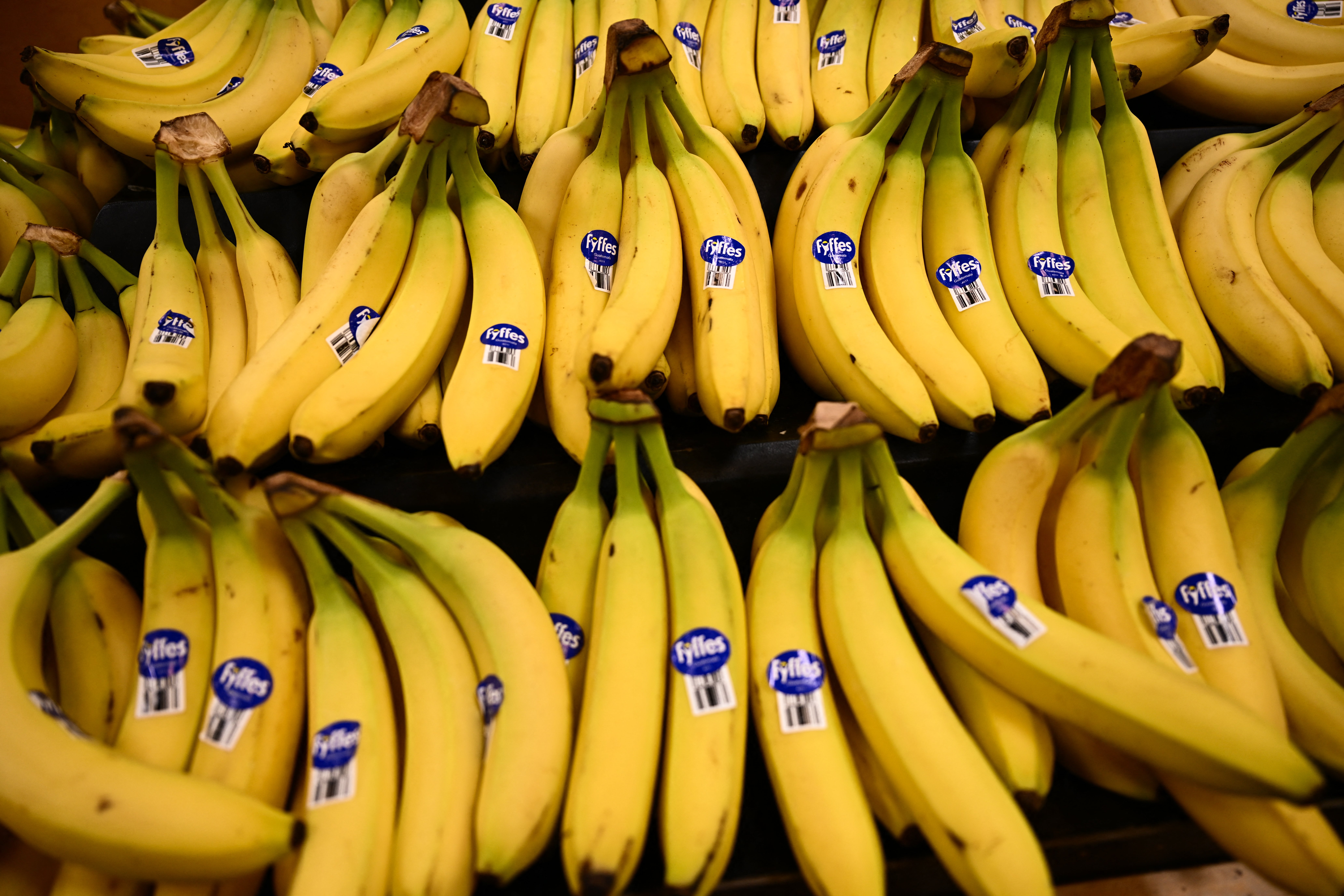 Bananas, corn and other fruits and vegetables are good sources of phytosterols. Certain breads contain them, as well