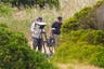 Madeleine McCann live: Neighbour recalls ‘angry’ suspect’s rows