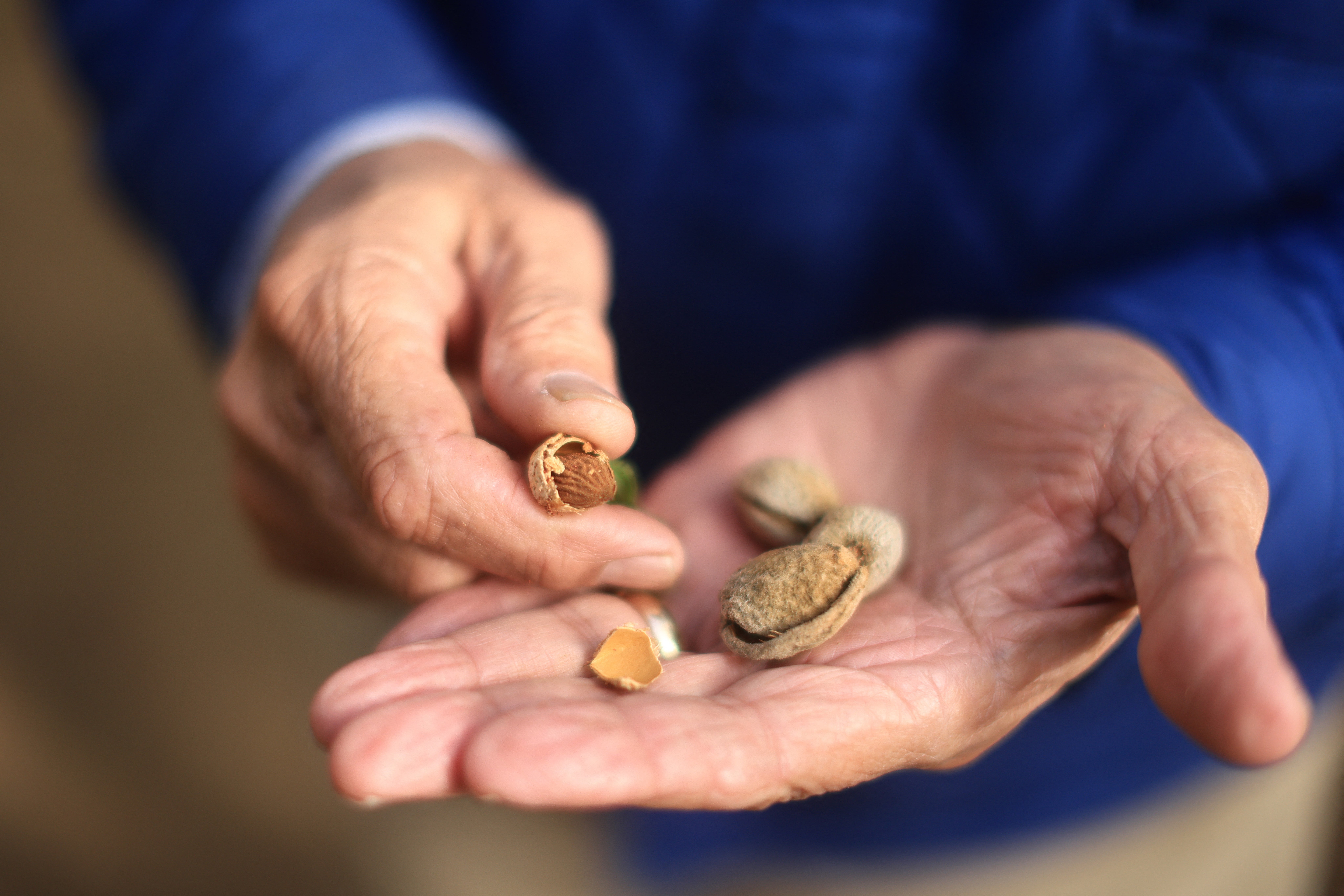 Almonds are another food rich in phytosterols. Previous research had found that eating foods with phytosterols could help to lower bad cholesterol
