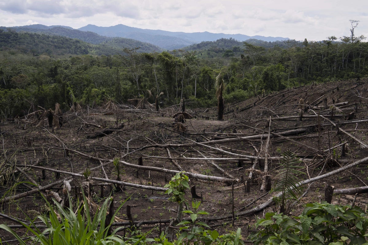 Cuts to USAID severed longstanding American support for Indigenous people around the world