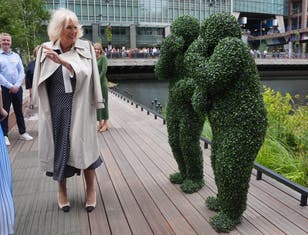 Bizarre moment Queen Camilla meets people dressed as bushes