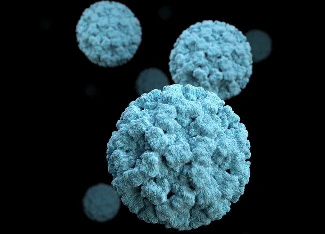 People of all ages can get infected and sick with norovirus. However, infection is largely fatal only among adults who are aged 65 and older