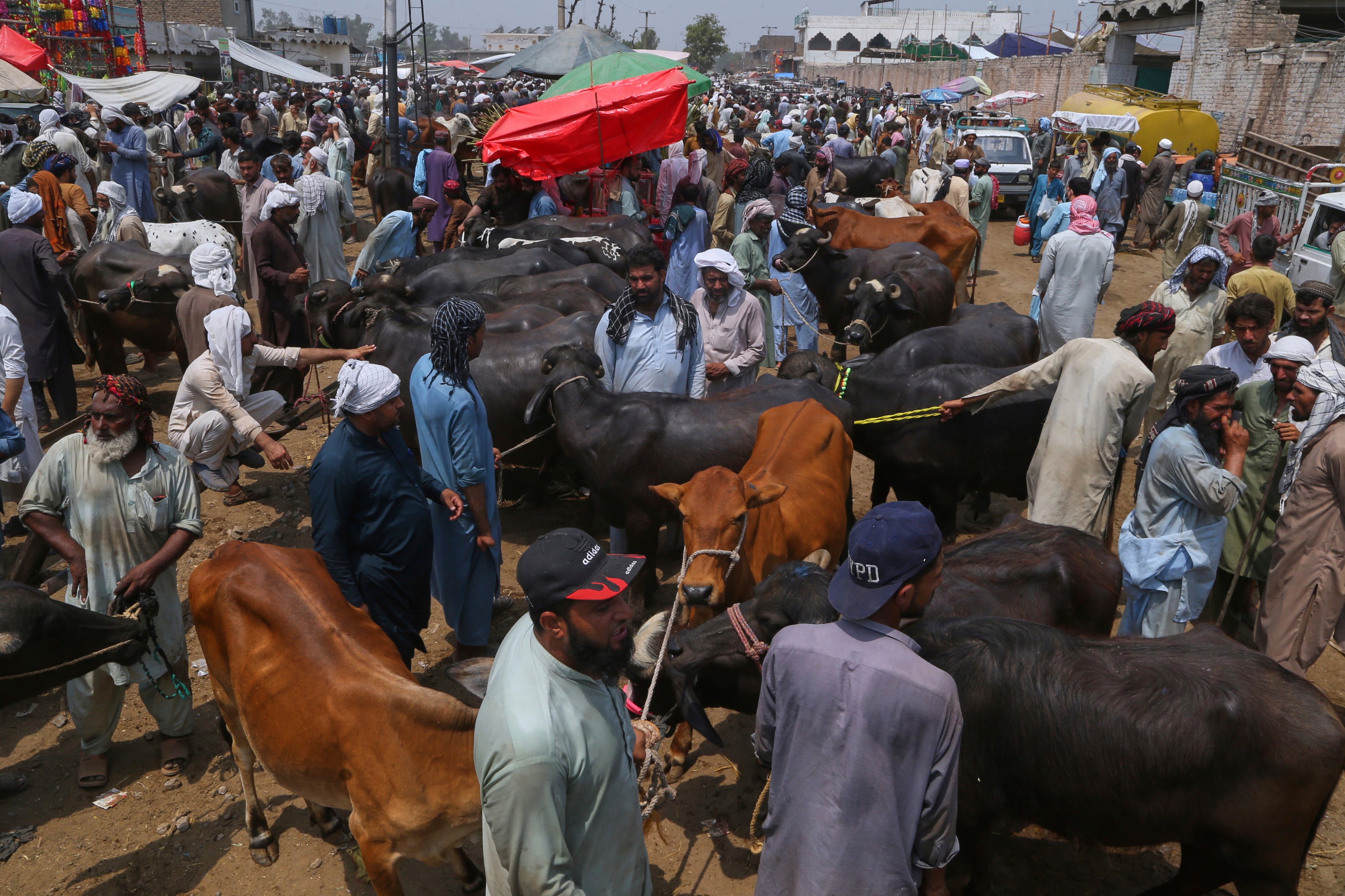 Pakistan Eid al-Adha