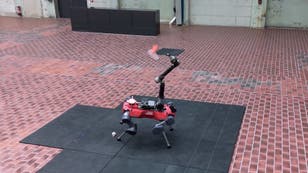 AI-powered robot learns to play badminton against humans