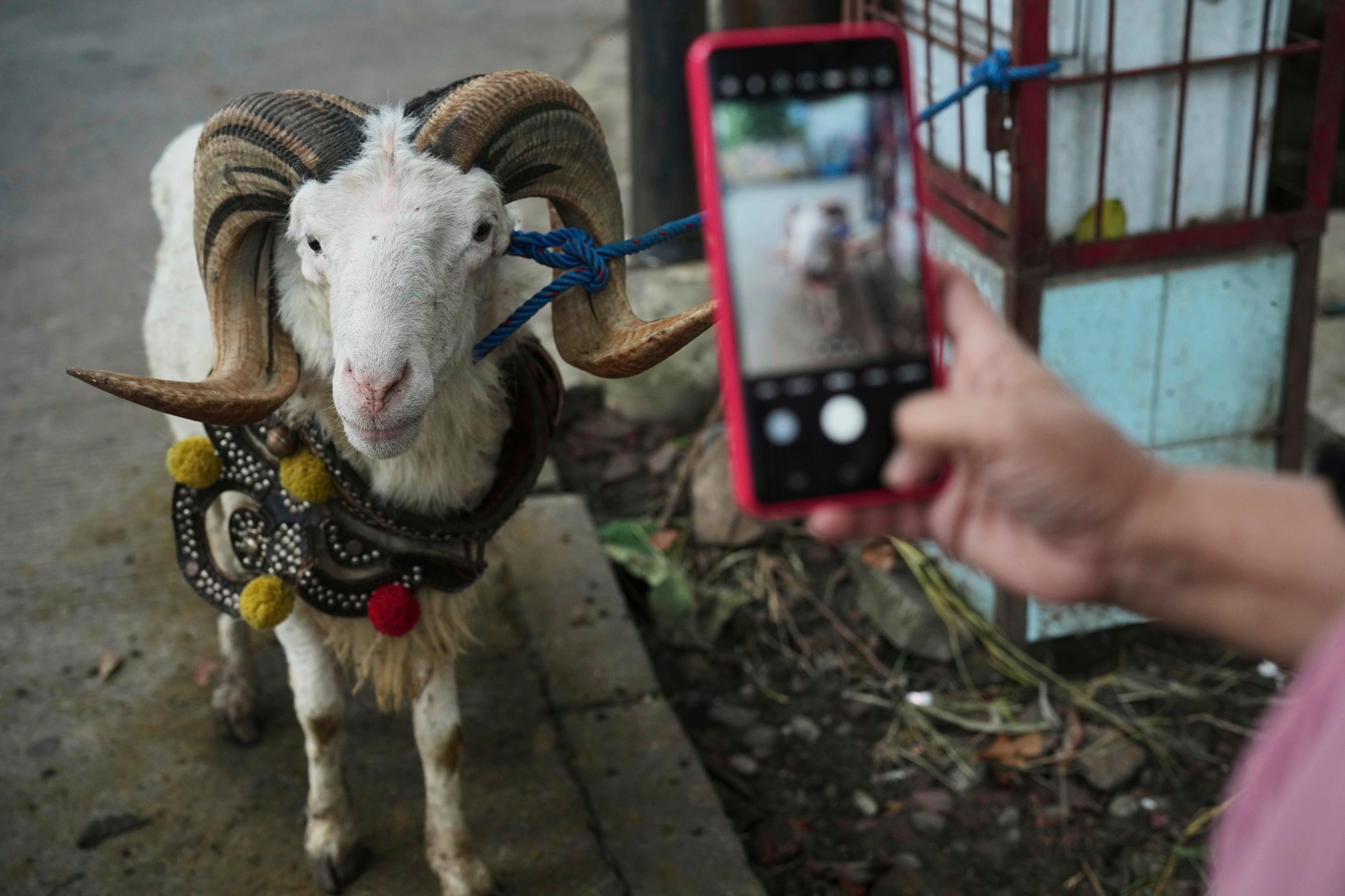 Indonesia Eid al-Adha Photo Gallery